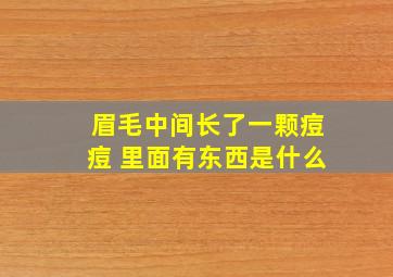 眉毛中间长了一颗痘痘 里面有东西是什么